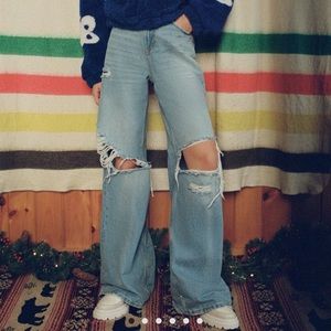 BDG Skater Extra Baggy Jean